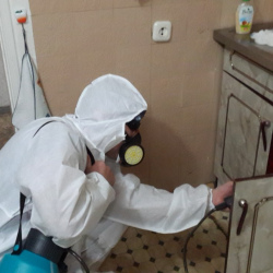 Дезинфекция от муравьев в квартире в Таганском районе Москвы
