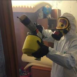 Уничтожение клопов в квартире. Таганский район 
